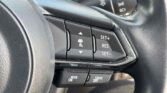 2018 Mazda CX-8 steering wheel view
