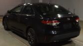 back side view of 2019 Toyota Corolla