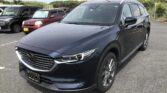 side view of 2019 Mazda CX-8