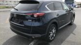 back view of 2019 Mazda CX-8