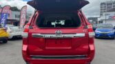 back view of used 2016 Toyota Land